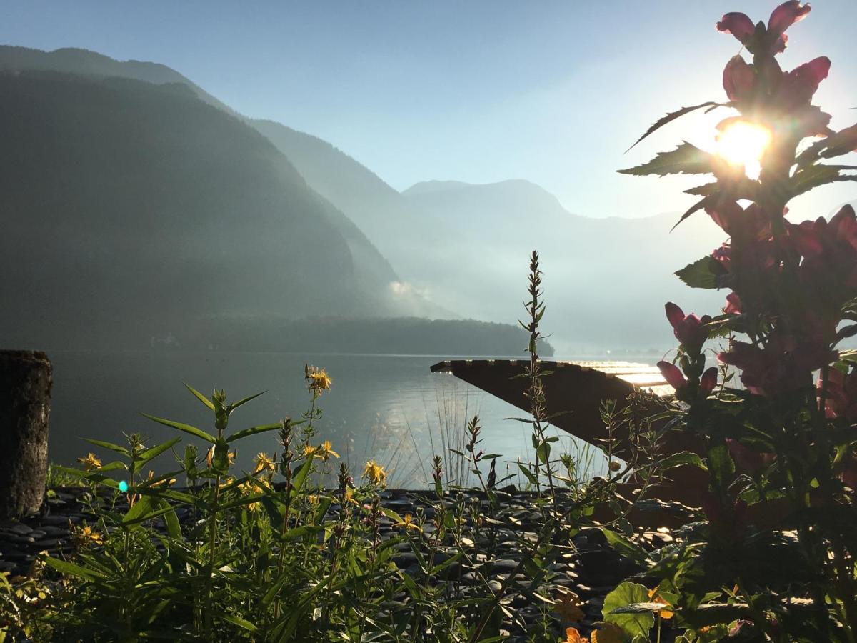 Glueck Am See - Apartment Mit Seezugang Hallstatt Ngoại thất bức ảnh